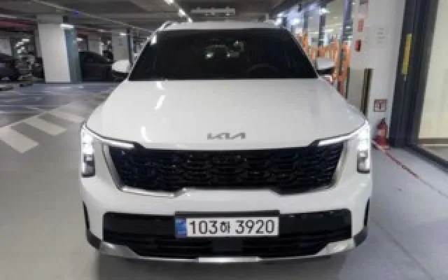 수원중고자동차직거래 더 뉴 쏘렌토 4세대 하이브리드 1.6T 2WD 노블레스 매물 사진 18 - 2024/07 32,134km